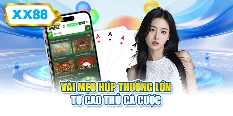 Vài mẹo húp thưởng lớn từ cao thủ cá cược
